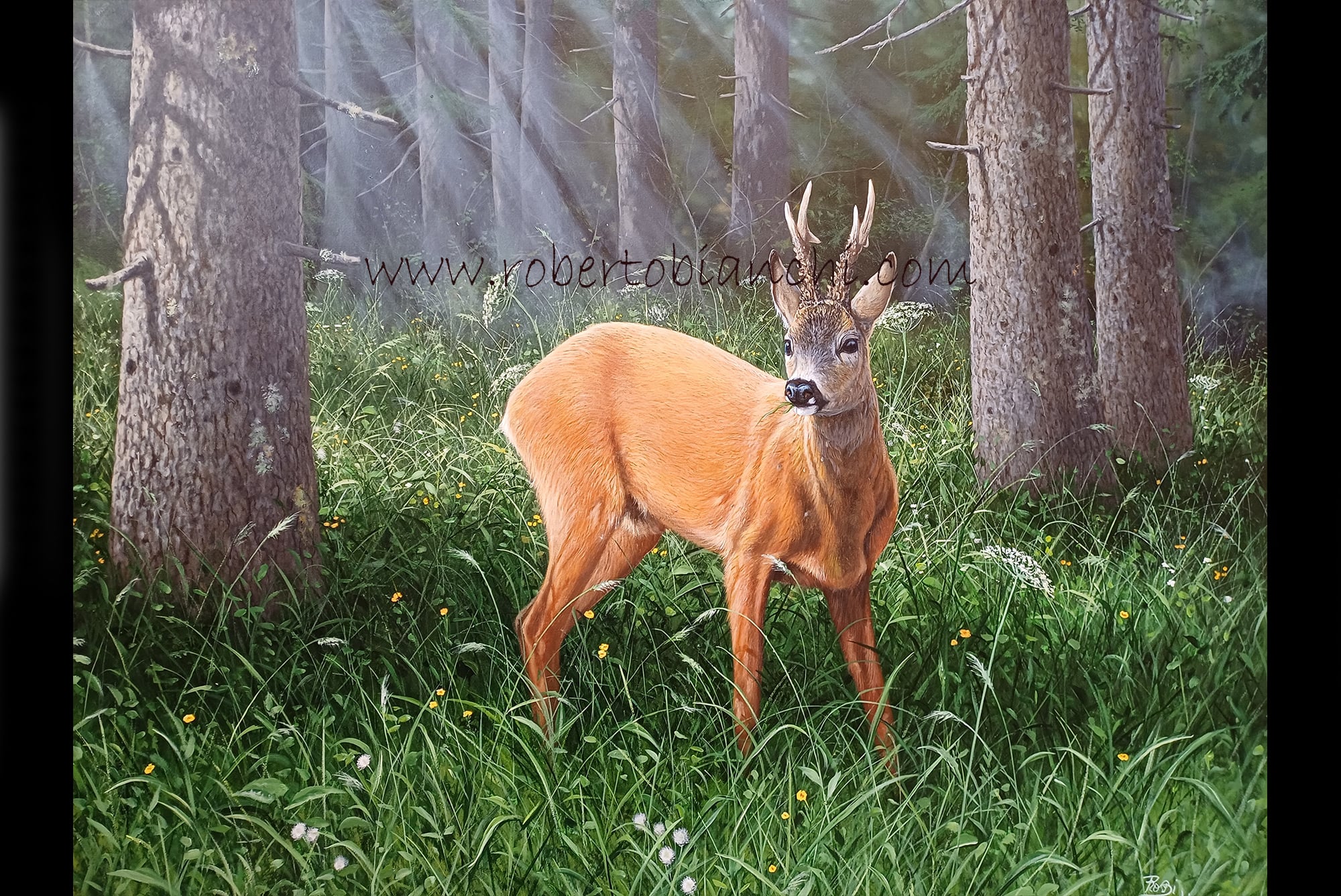 Roberto Bianchi pitture animali