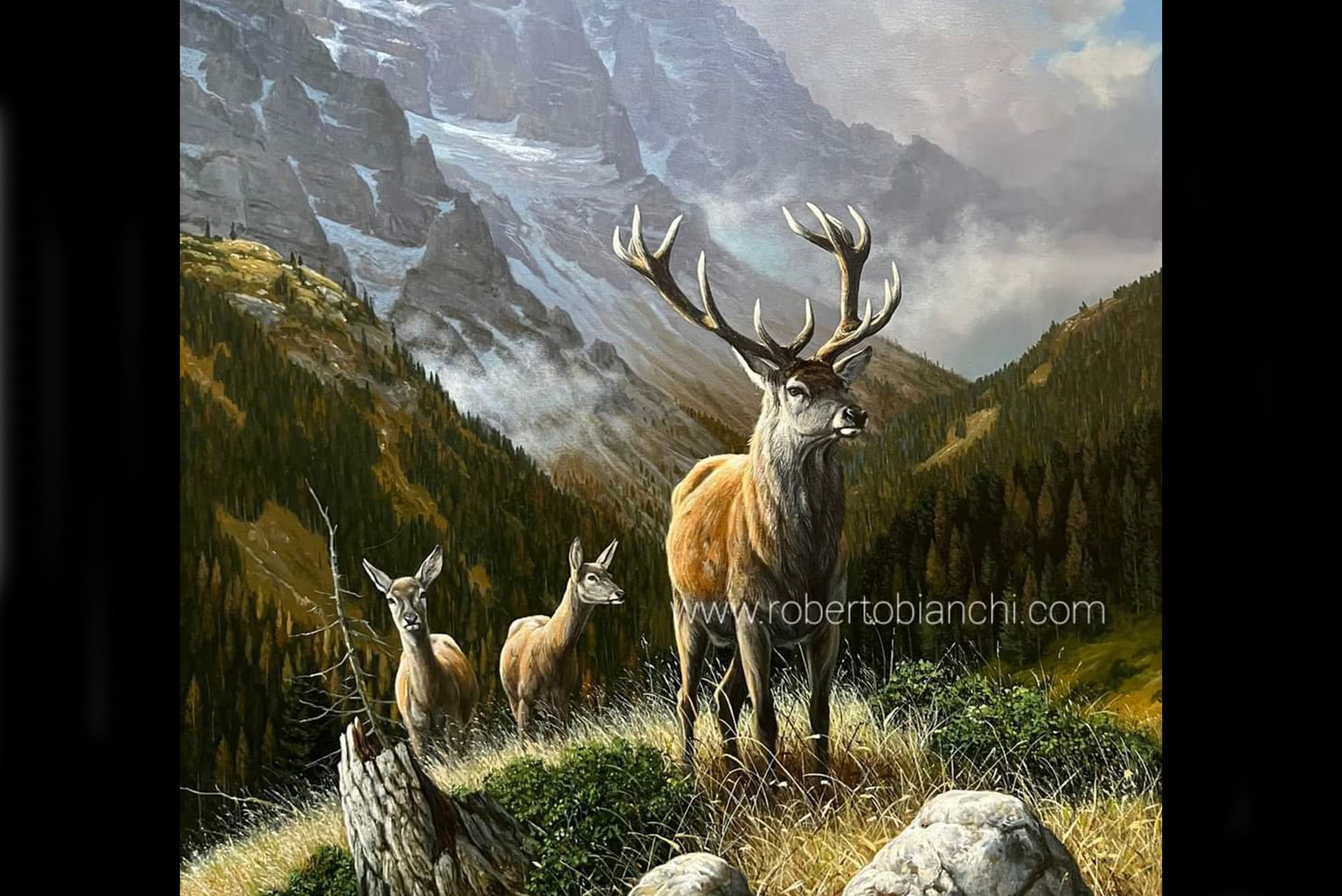 Roberto Bianchi pitture di animali