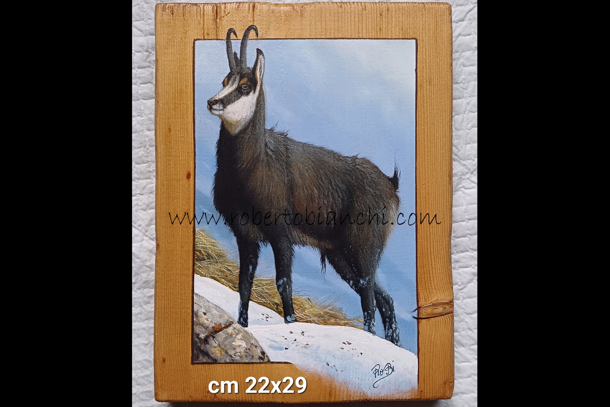 Roberto Bianchi dipinti olio su legno
